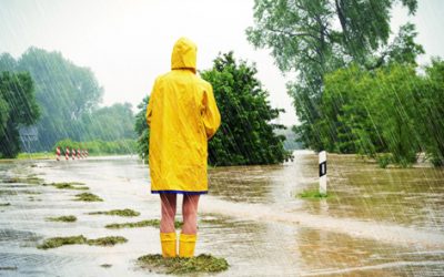 Raue Zeiten: Journalismus zwischen Realität und dem Wunsch nach einer heilen Welt